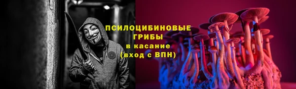 герыч Новодвинск