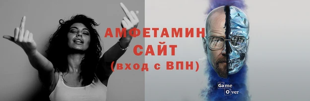 сатива Новозыбков