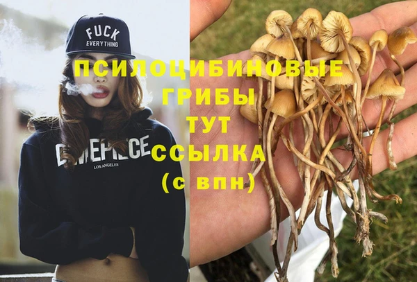 меф Аркадак